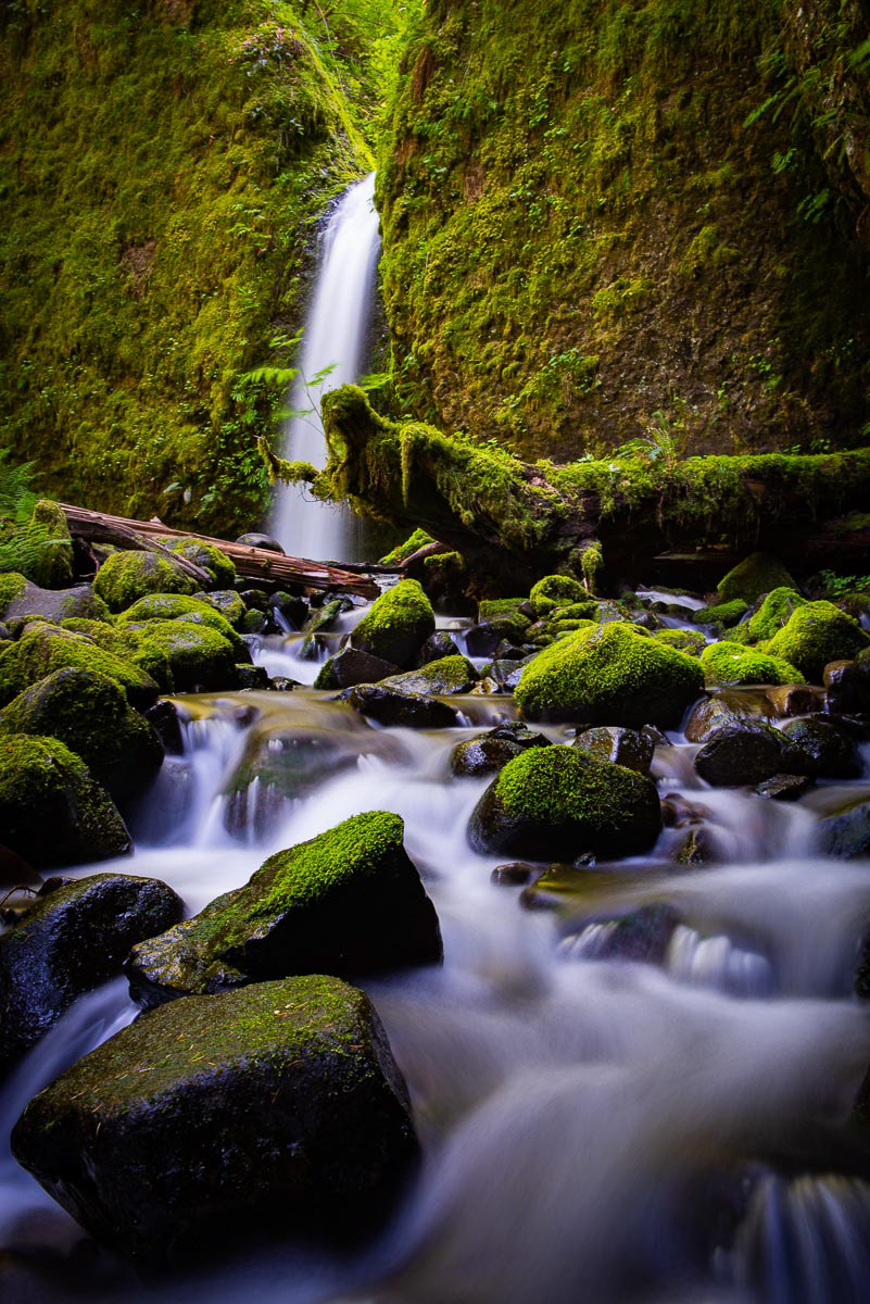 Mossy Grotto Falls 2