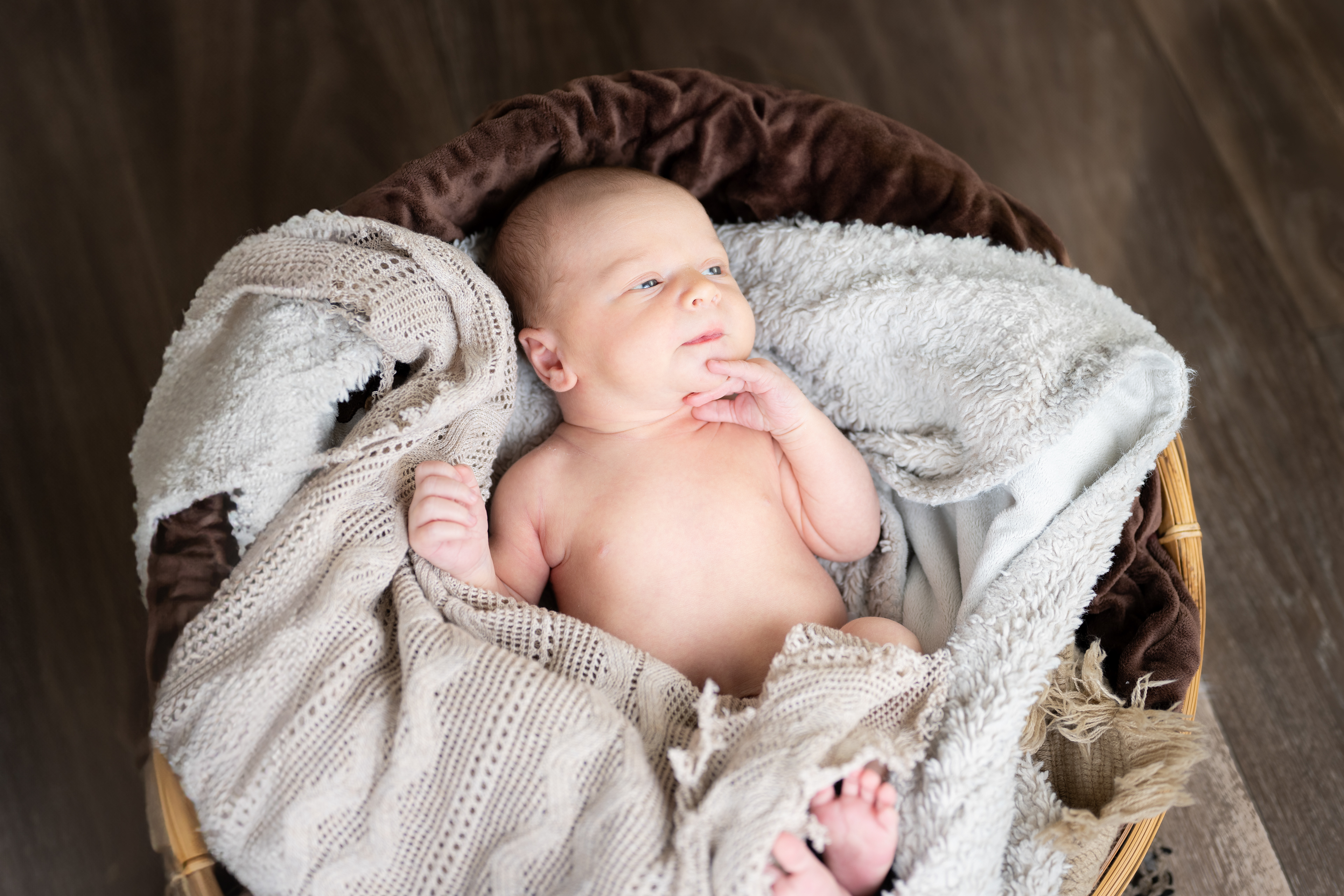 Newborn