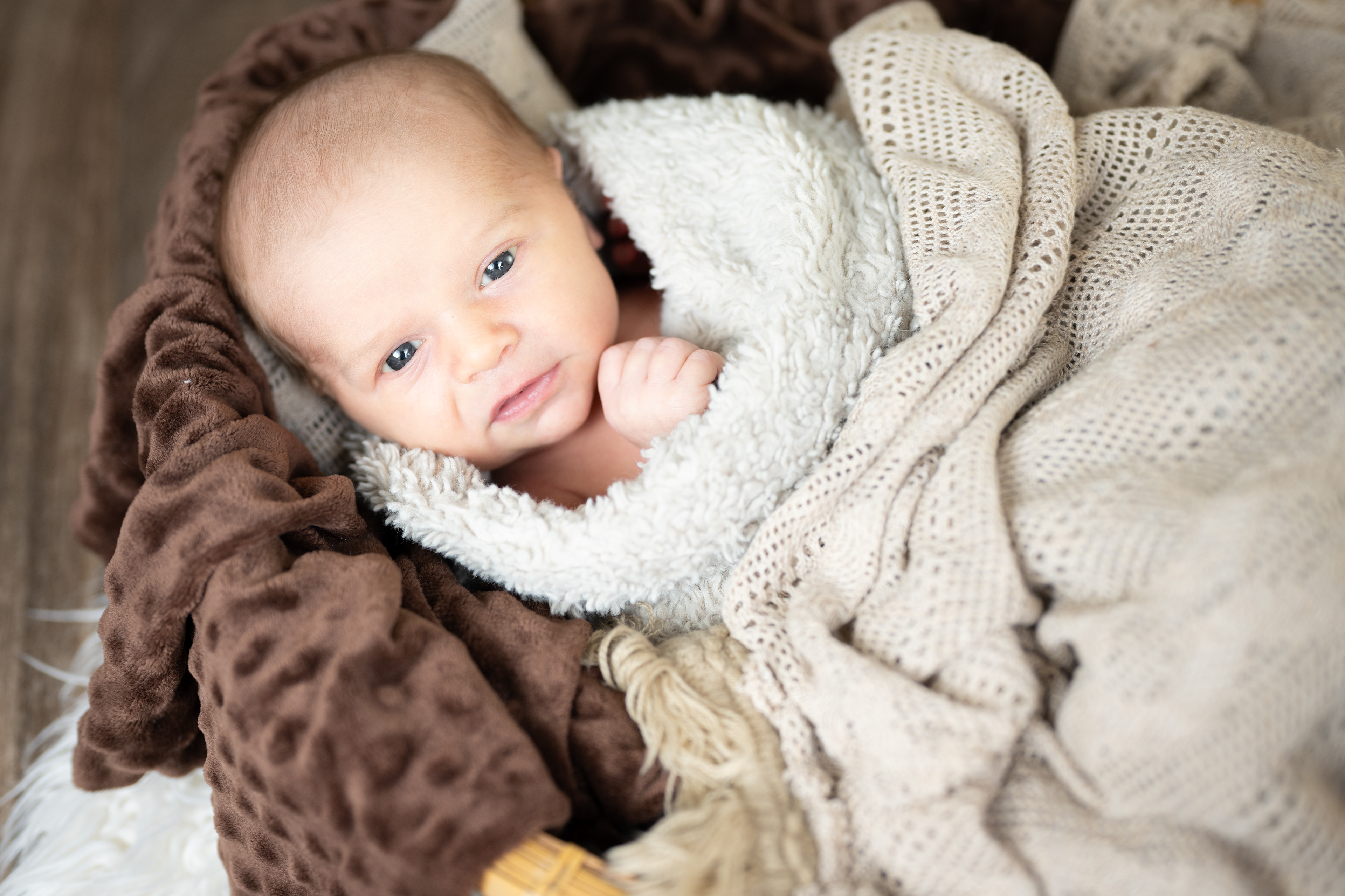 Newborn