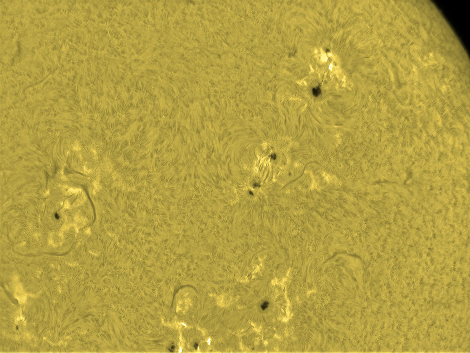 Solar Surface Ha 7/5/14 (see animations)