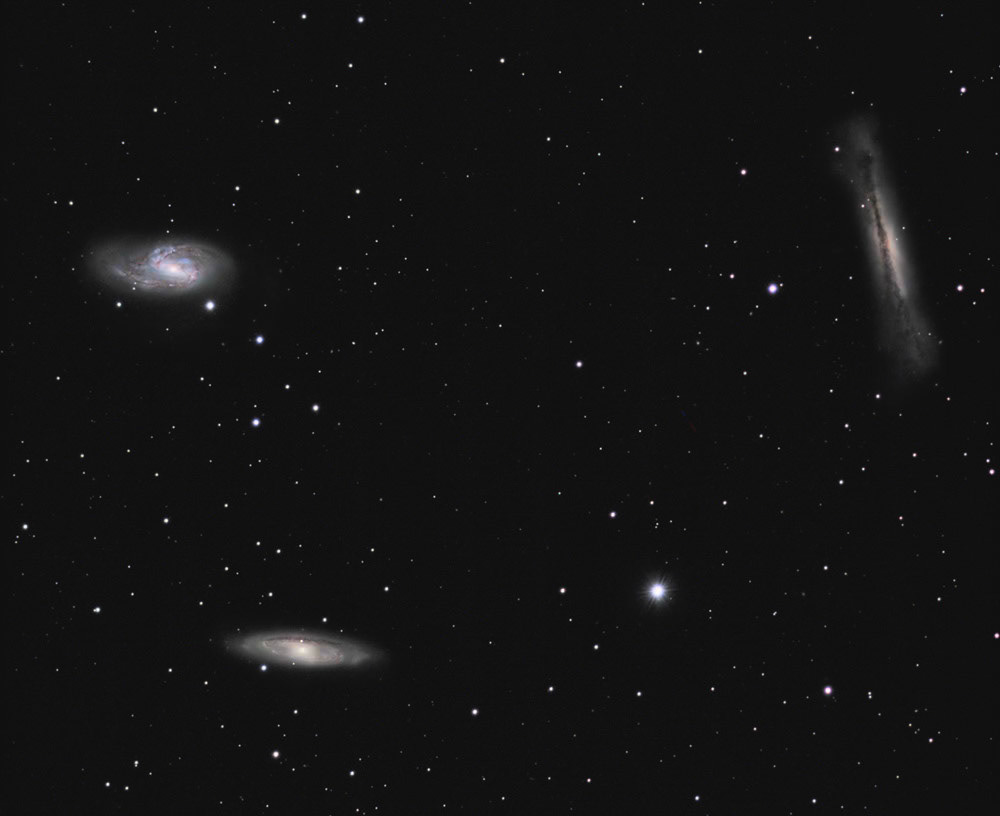 Leo Triple 3/2018