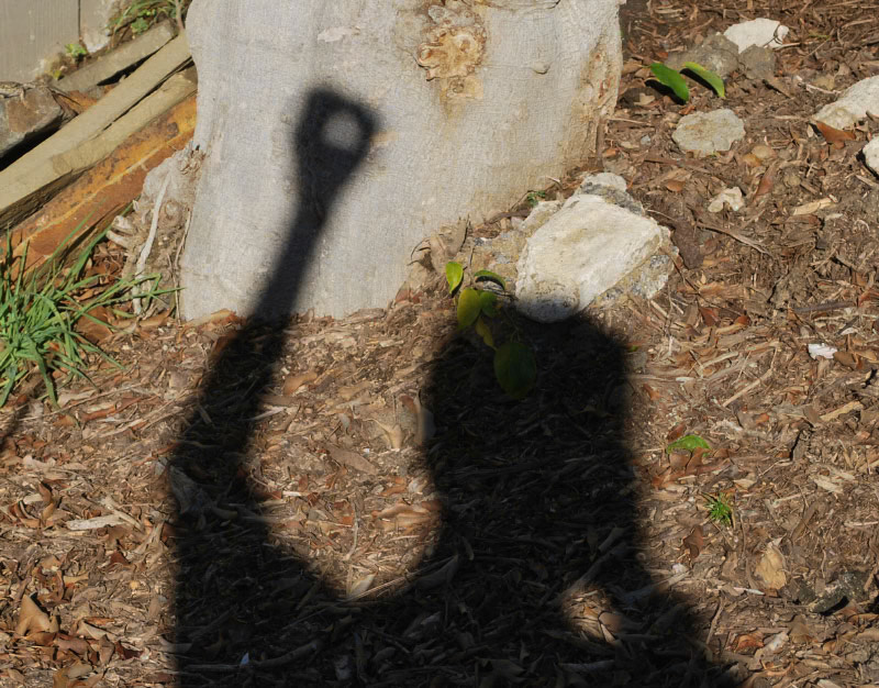 solar selfie during partial eclipse 10/23/14