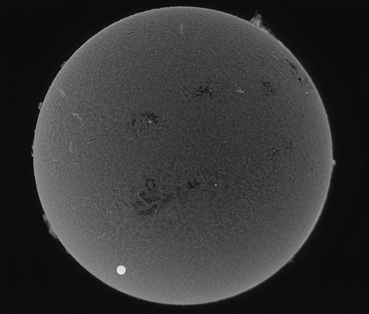 Venus Transit hydrogen alpha 6/5/2012 composite (exclusion)