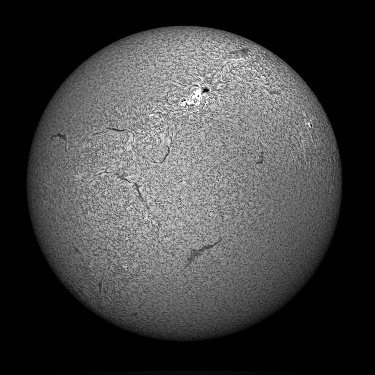 Sun Ha 8/9/15