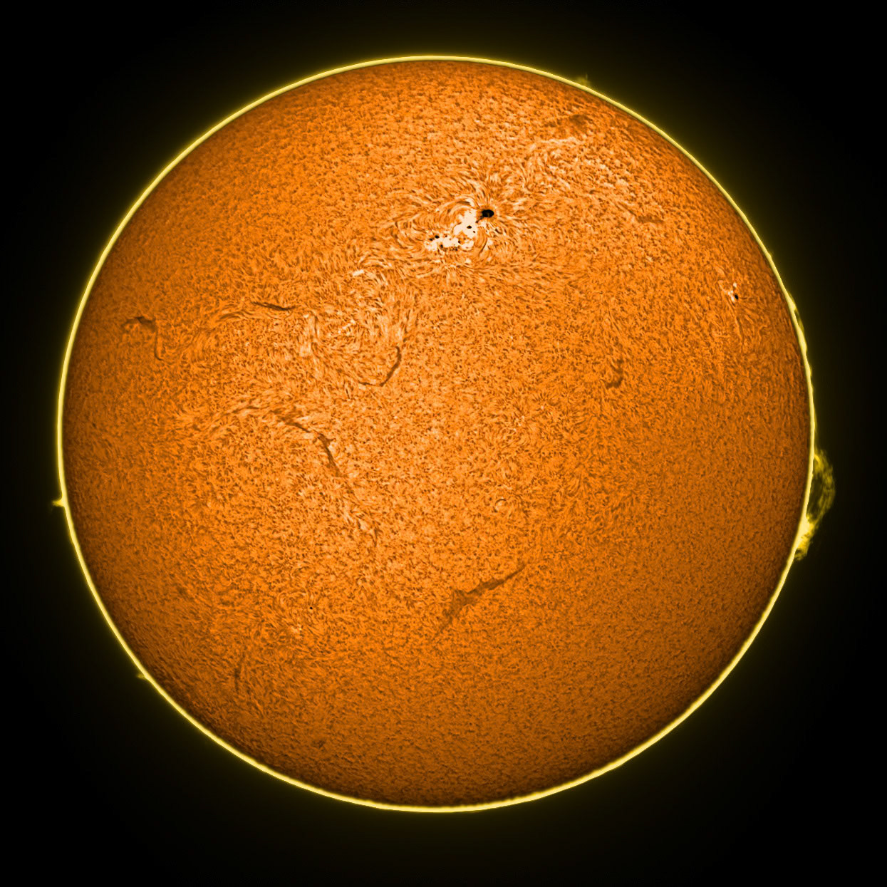 Sun Ha Colorized Composite 8/9/15