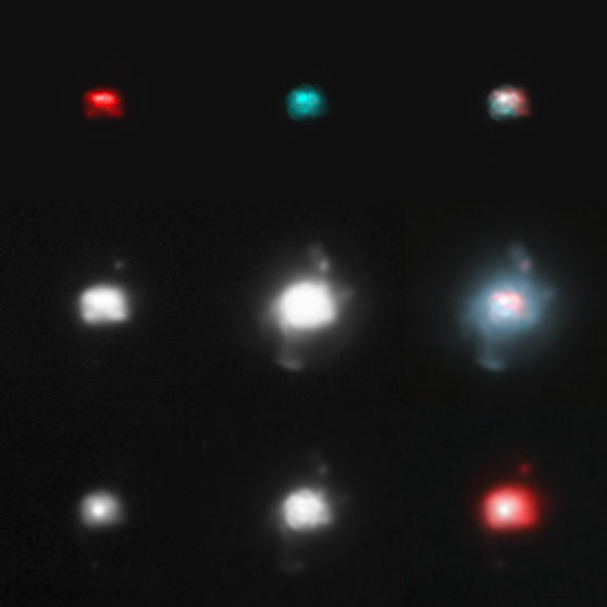 Turtle Nebula NGC 6210: Top NII OIII NII-OII, Mid NII OIII NII-OII stretched, Bottom continuum, luminance, NII-continuum