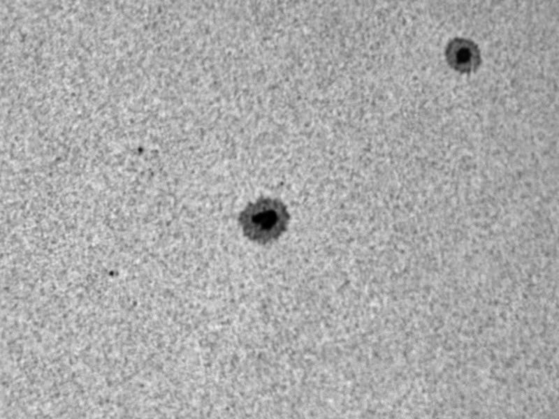 sunspots 8/30/14 baader film astrodon O III 3 nm filter