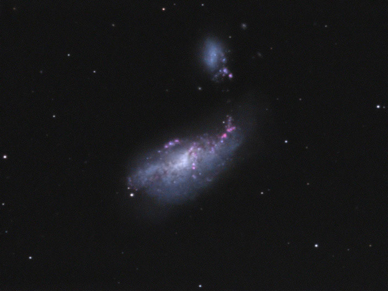 The Cocoon Galaxy, NGC 4490 HaL-RGB 4/15/11