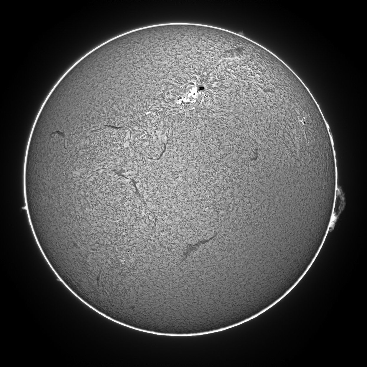 Sun Ha Composite 8/9/15
