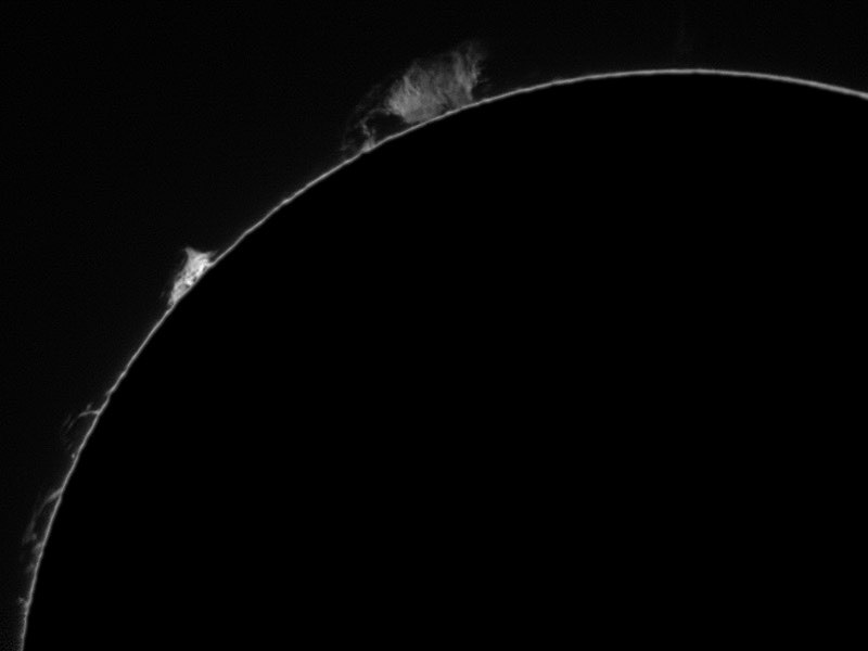 Sun Ha 7/8/2017