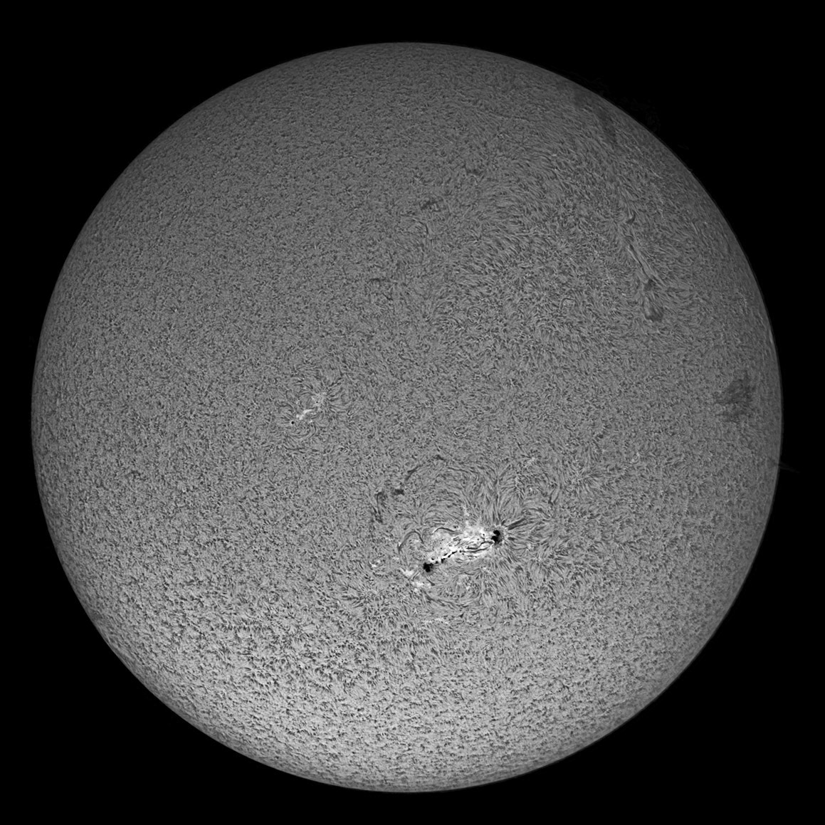 Sun Ha 8/23/15