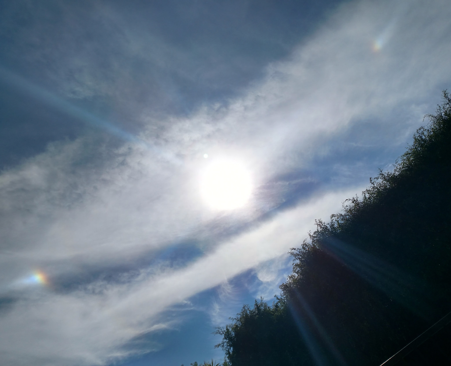 Sun Dogs 1/14/18