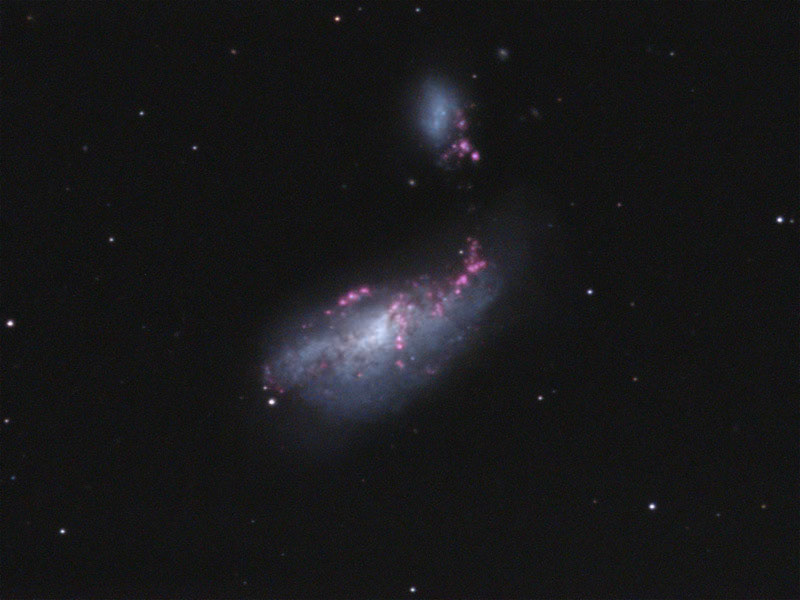 The Cocoon Galaxy, NGC 4490 Ha enhanced HaLHaRGB 4/15/11