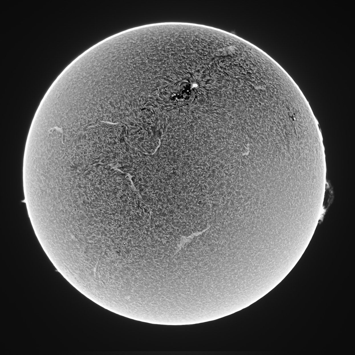 Sun Ha Exclusion 8/9/15