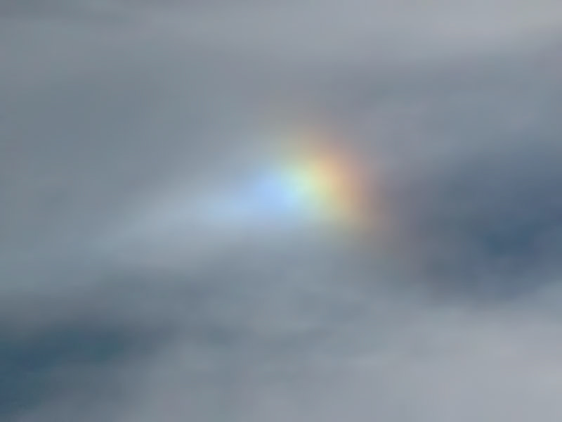 Sun Dog 1/14/18