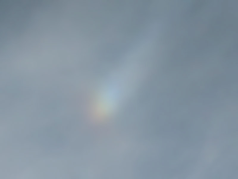 Sun Dogs 1/14/18