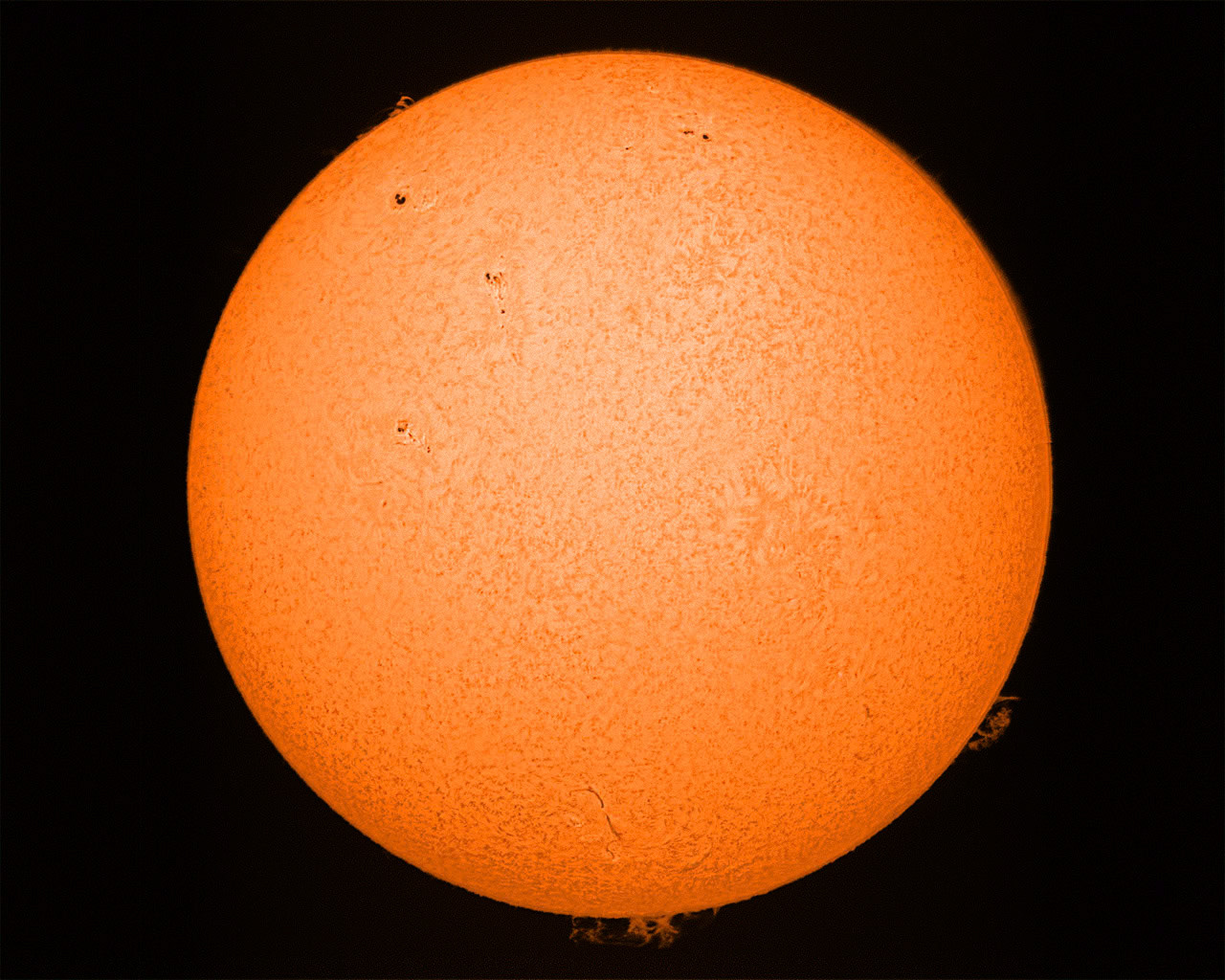 Sun Ha 5/12/13