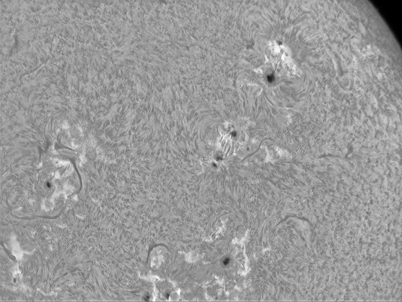 Solar Surface Ha 7/5/14 (see animations)
