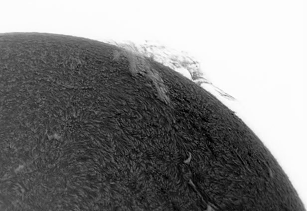 filament and prominence Ha negative 8/23/15