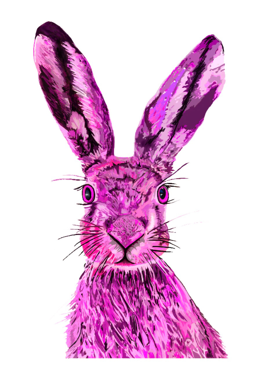 Pink Hare