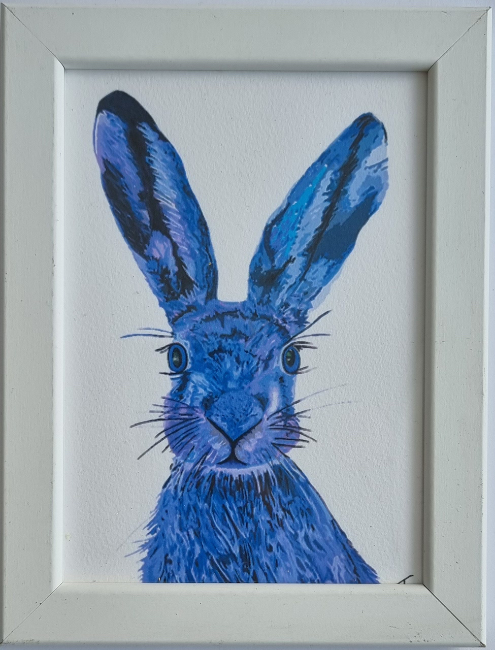 Blue Hare