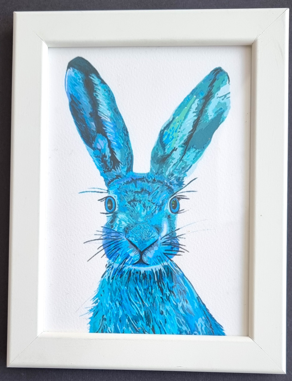 Turquoise Hare