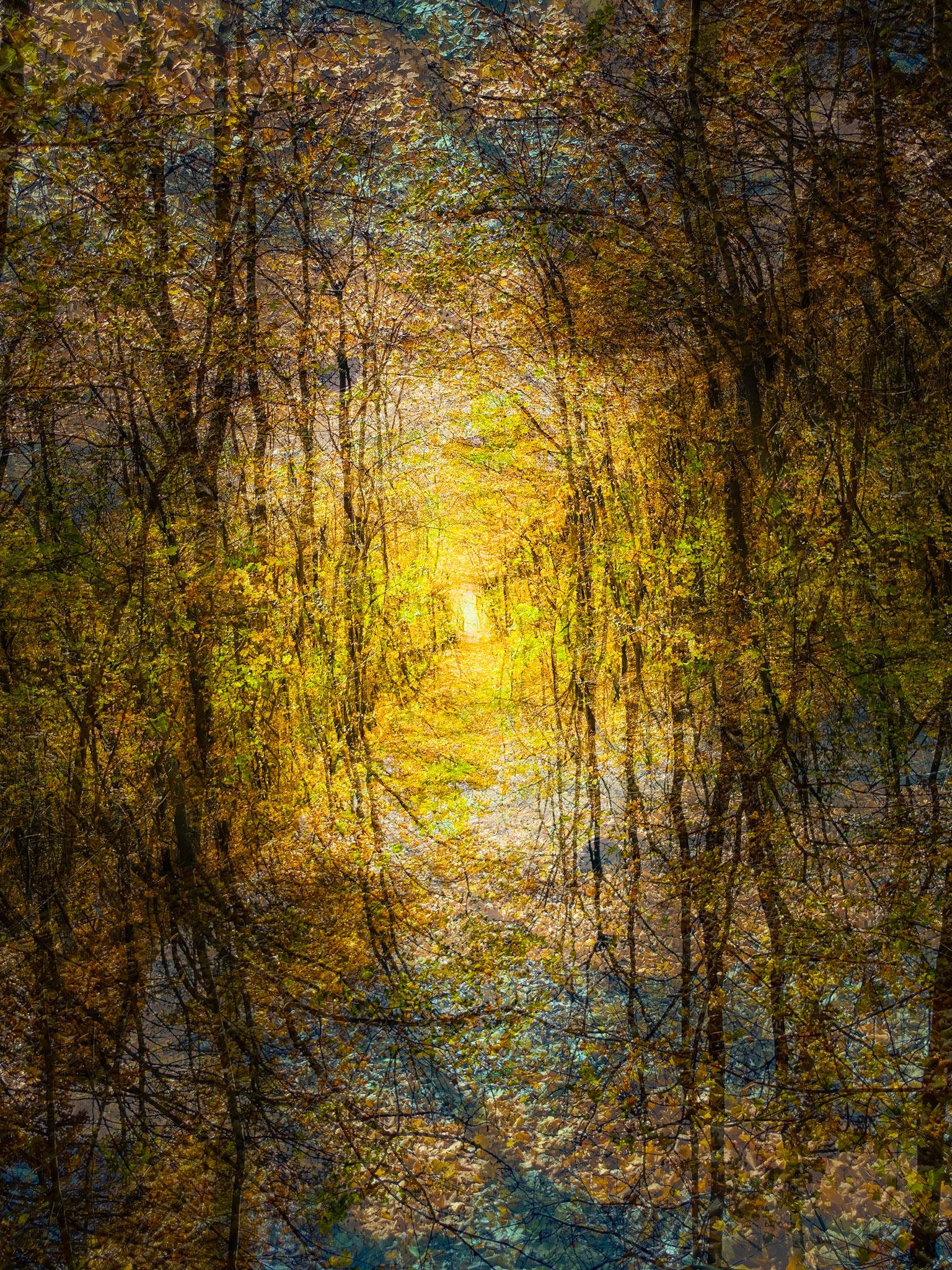 Autumn