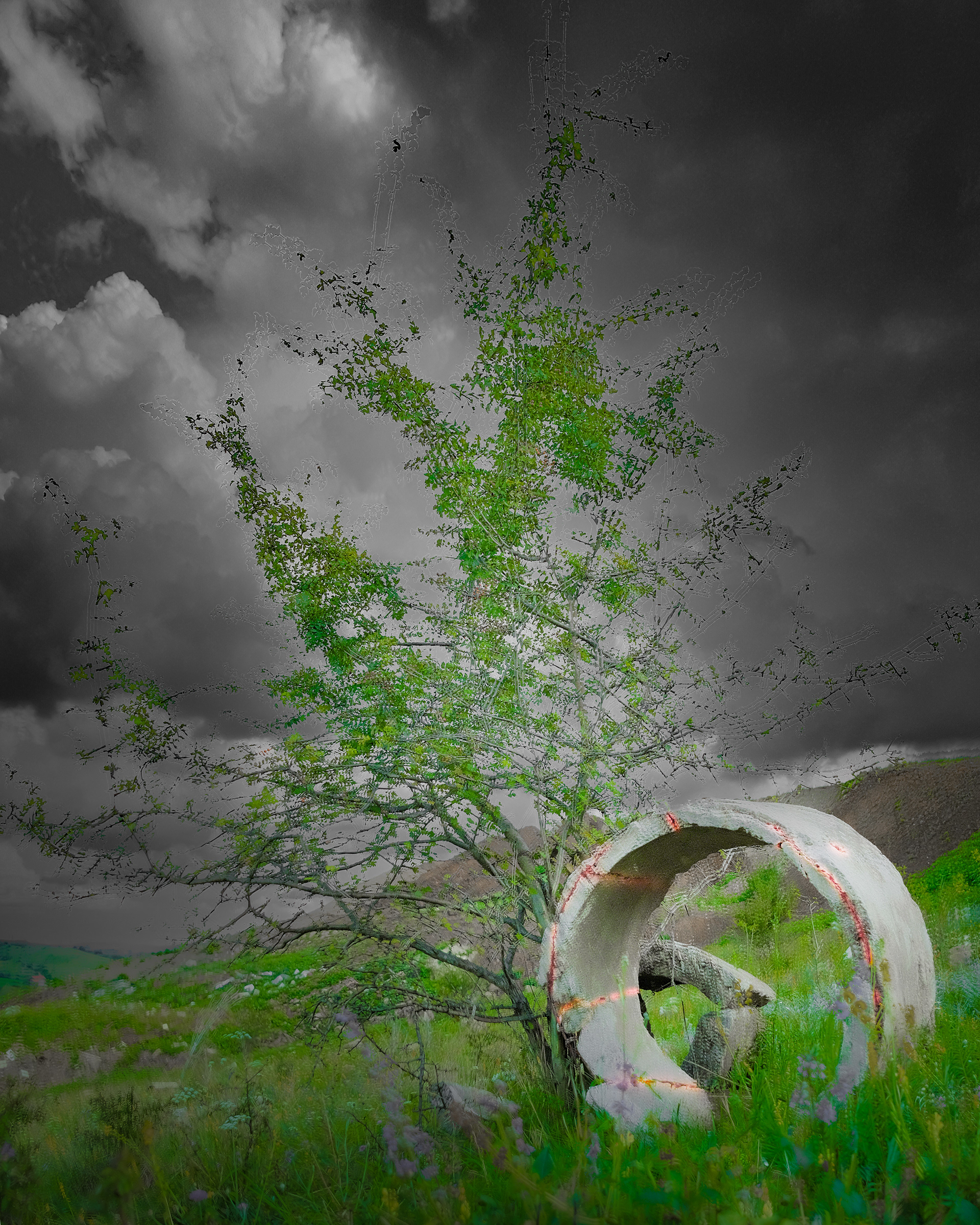 Transcendence I