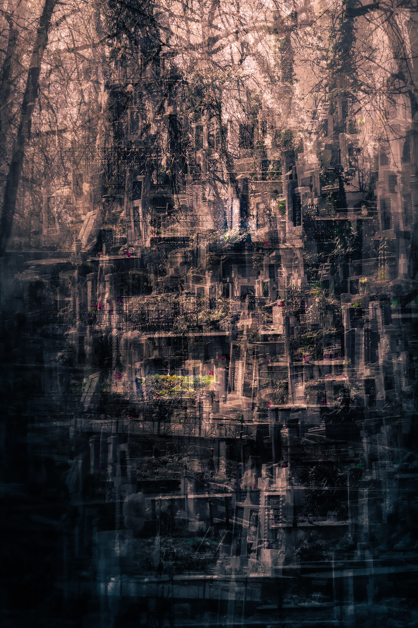 Babel’s Silence