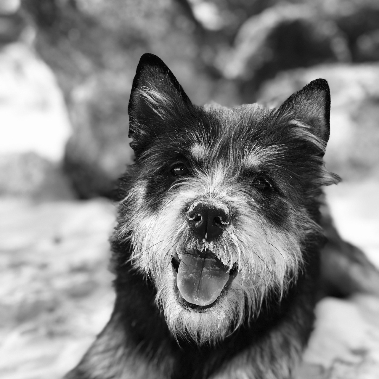 Our rescue, Athena