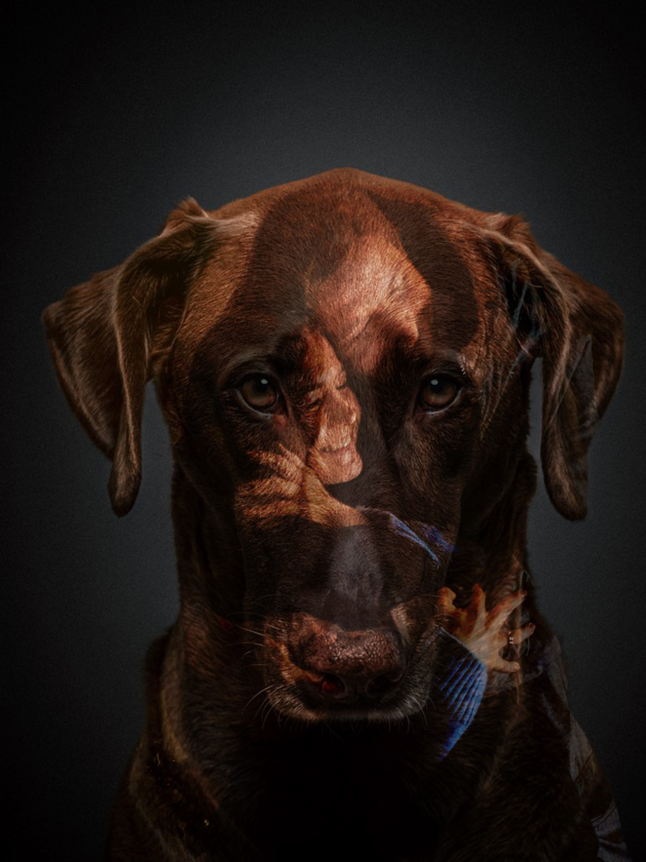 Double Exposure 
