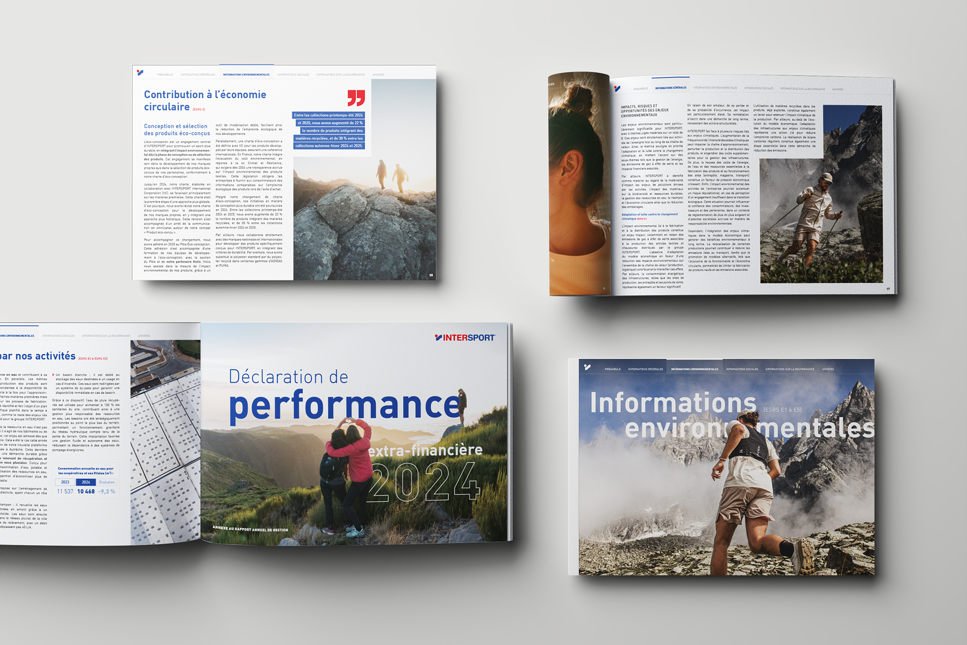 Performance statement (Intersport)