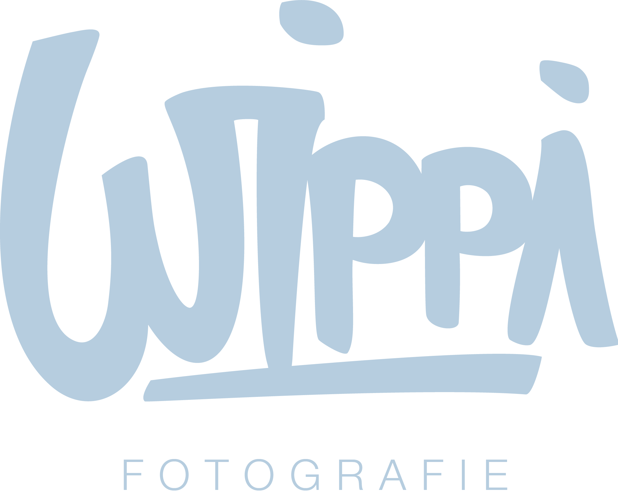 Wippi