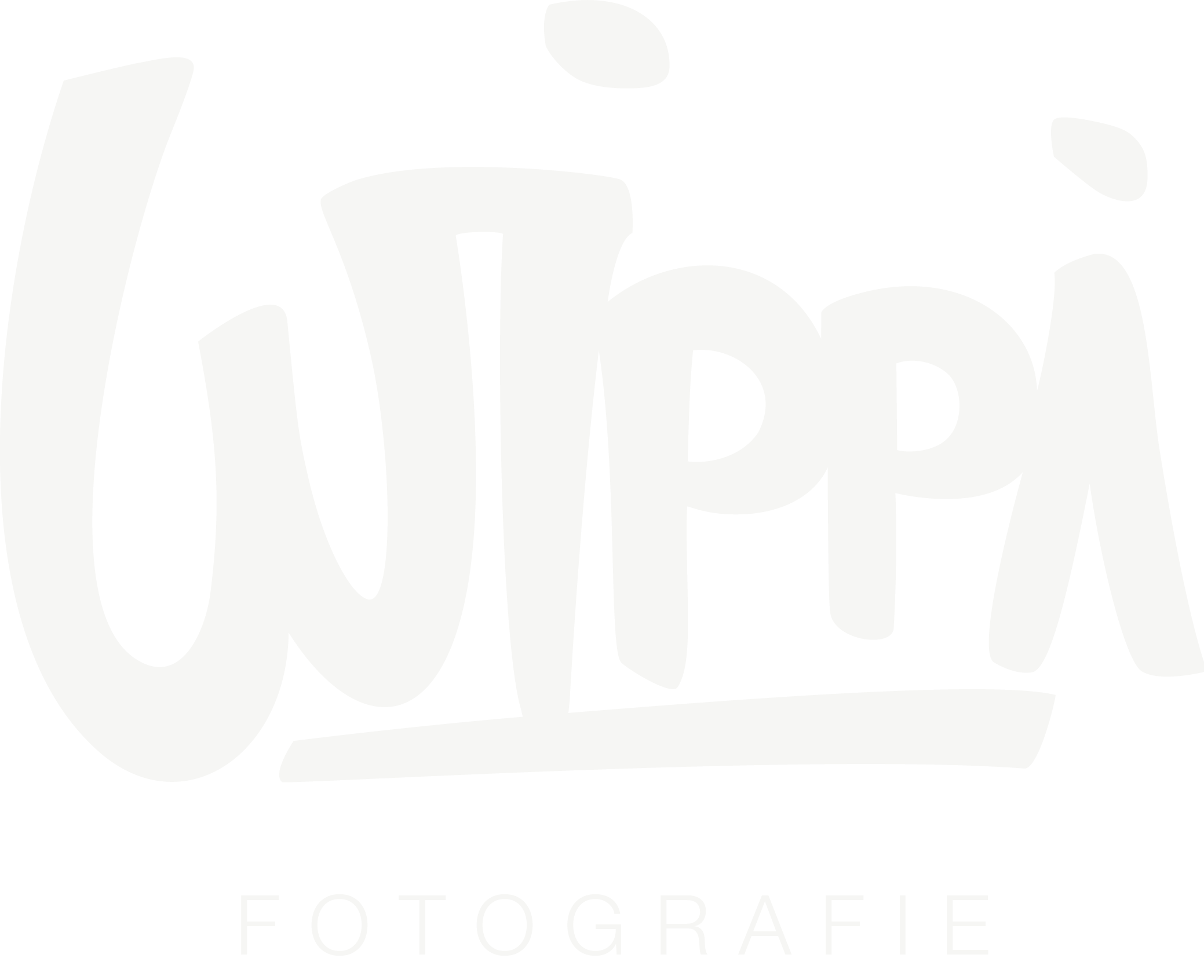 Wippi