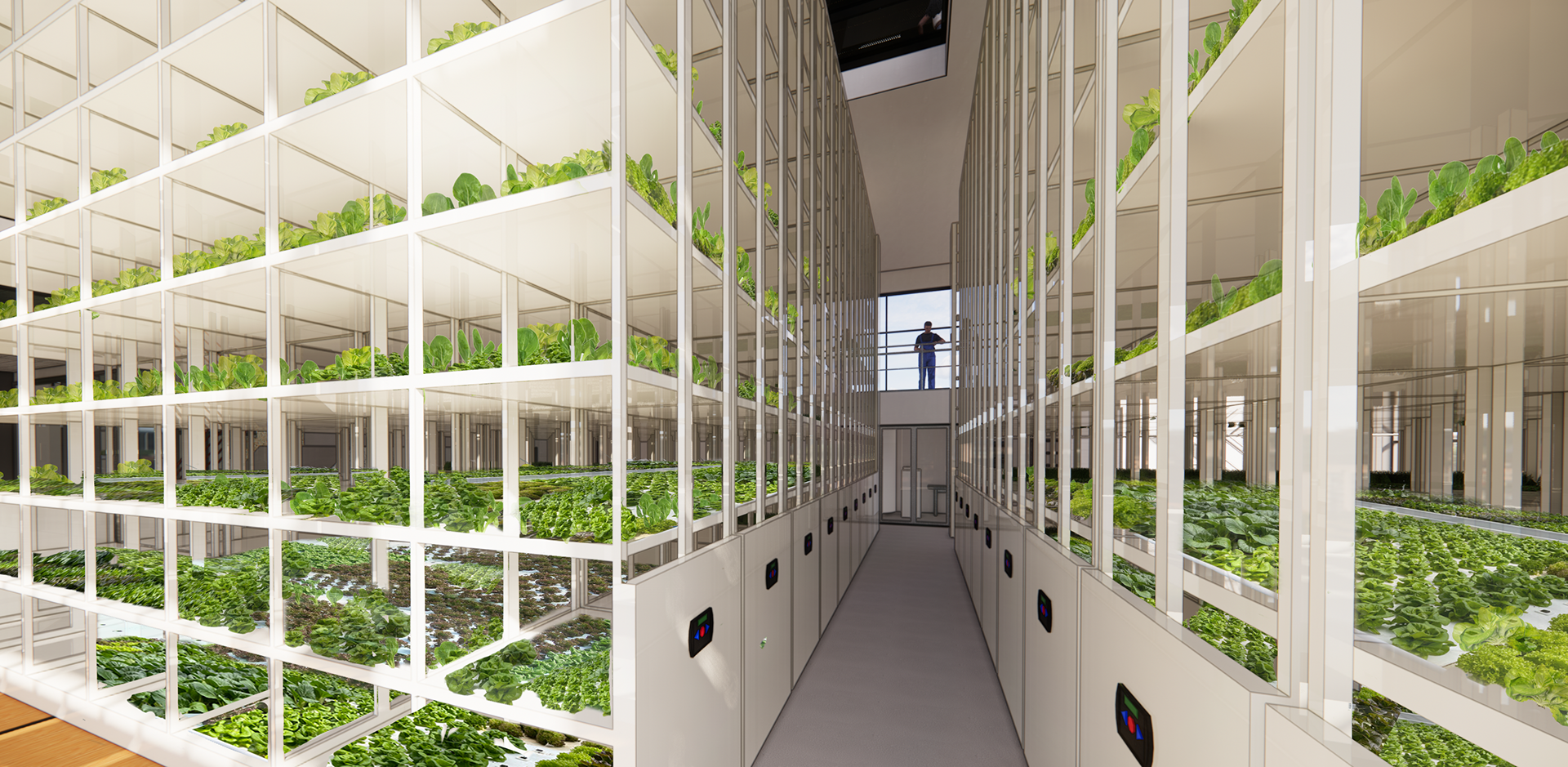 Hydroponic Growing Systems