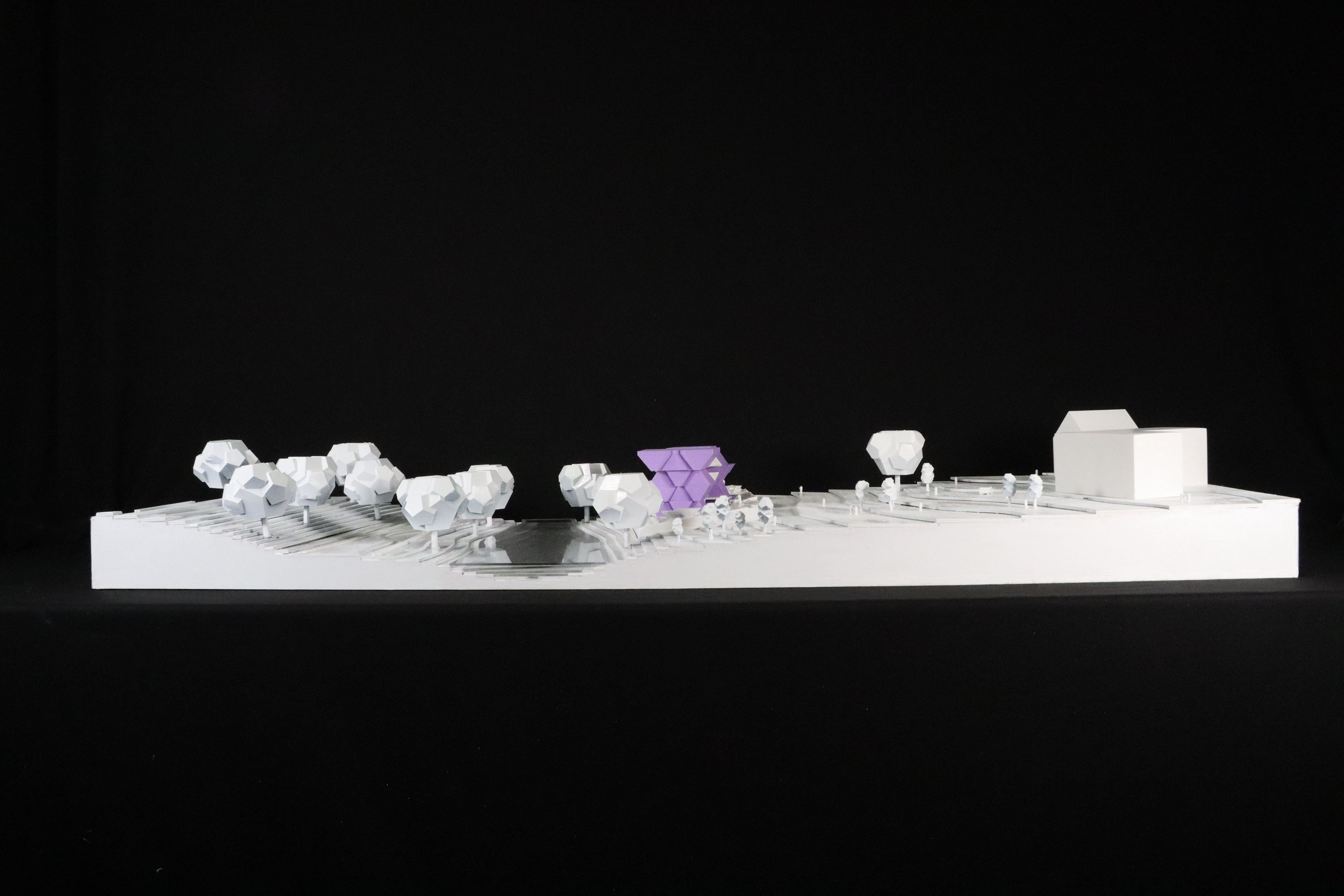 Model in Site