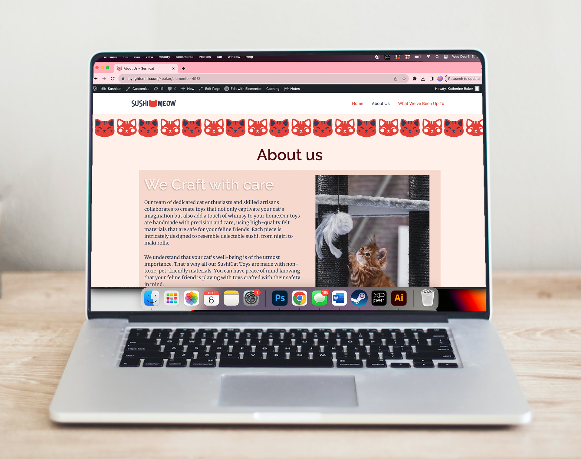 Computer website