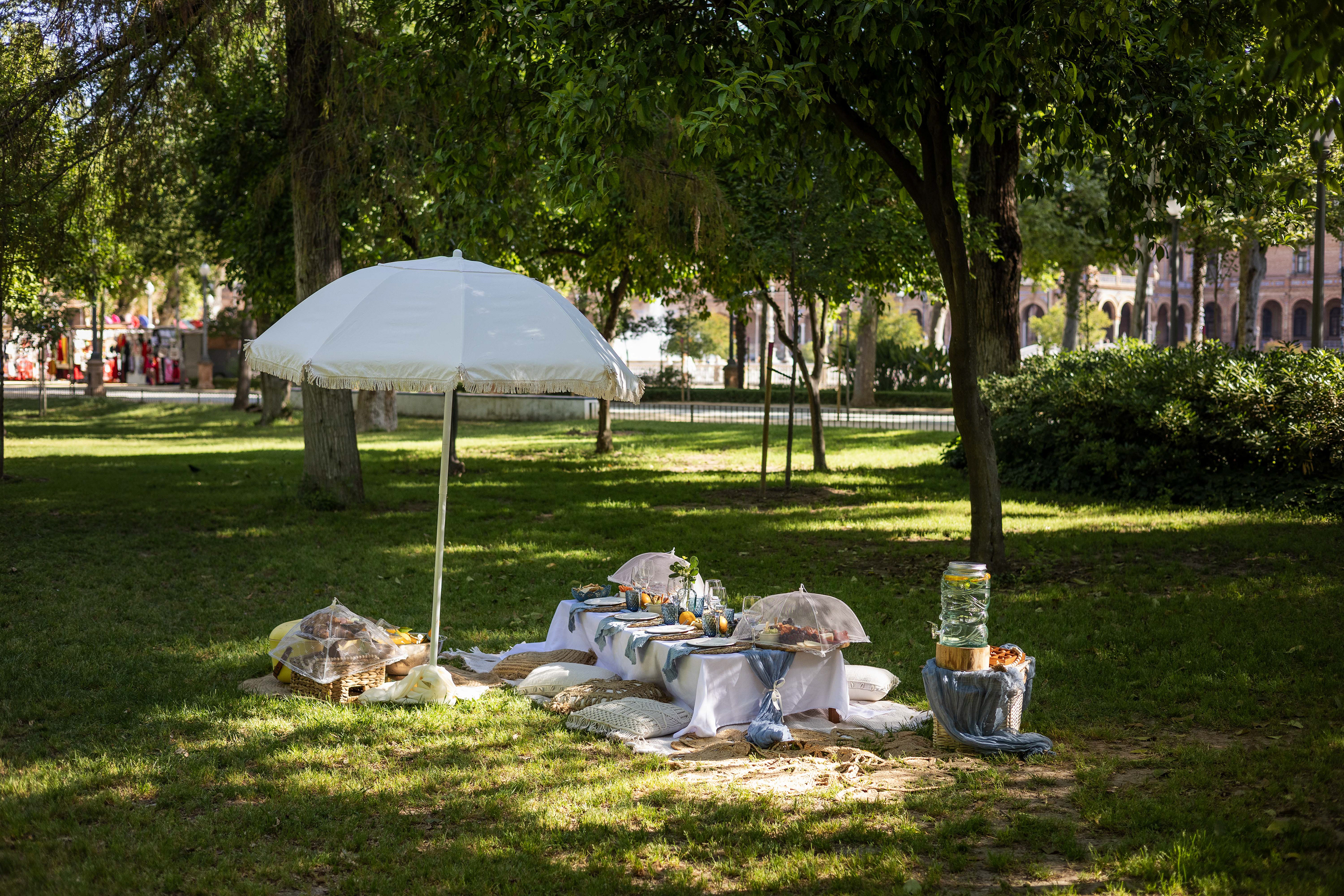 Seville - hen party picnic 