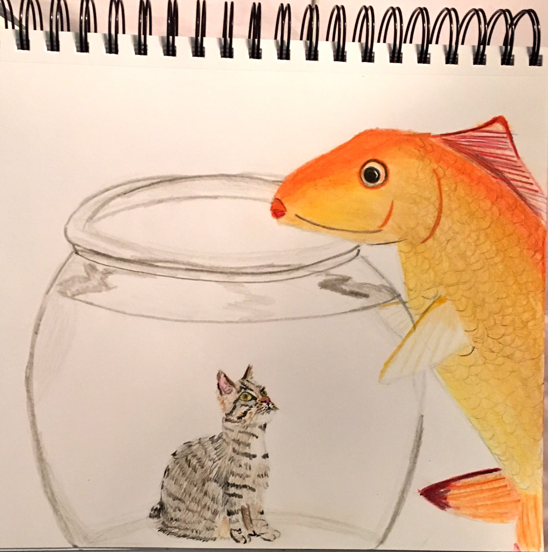 Untitled / pencil on paper