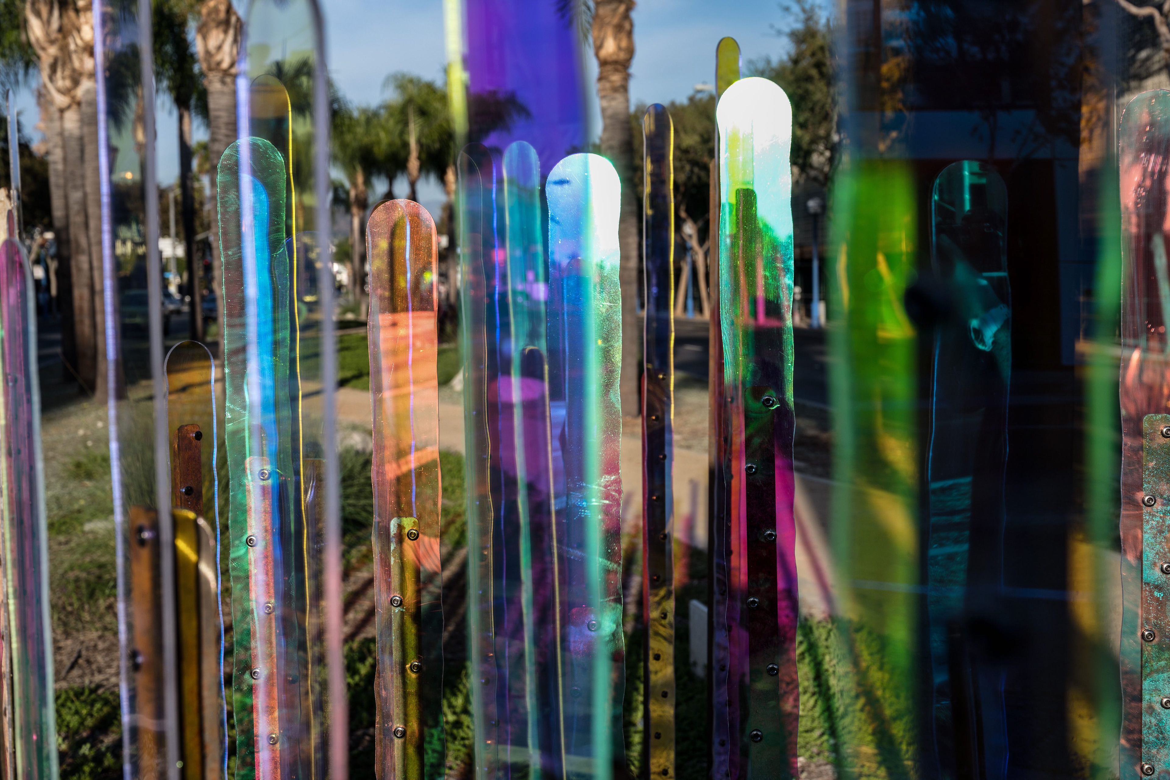 organ pipe