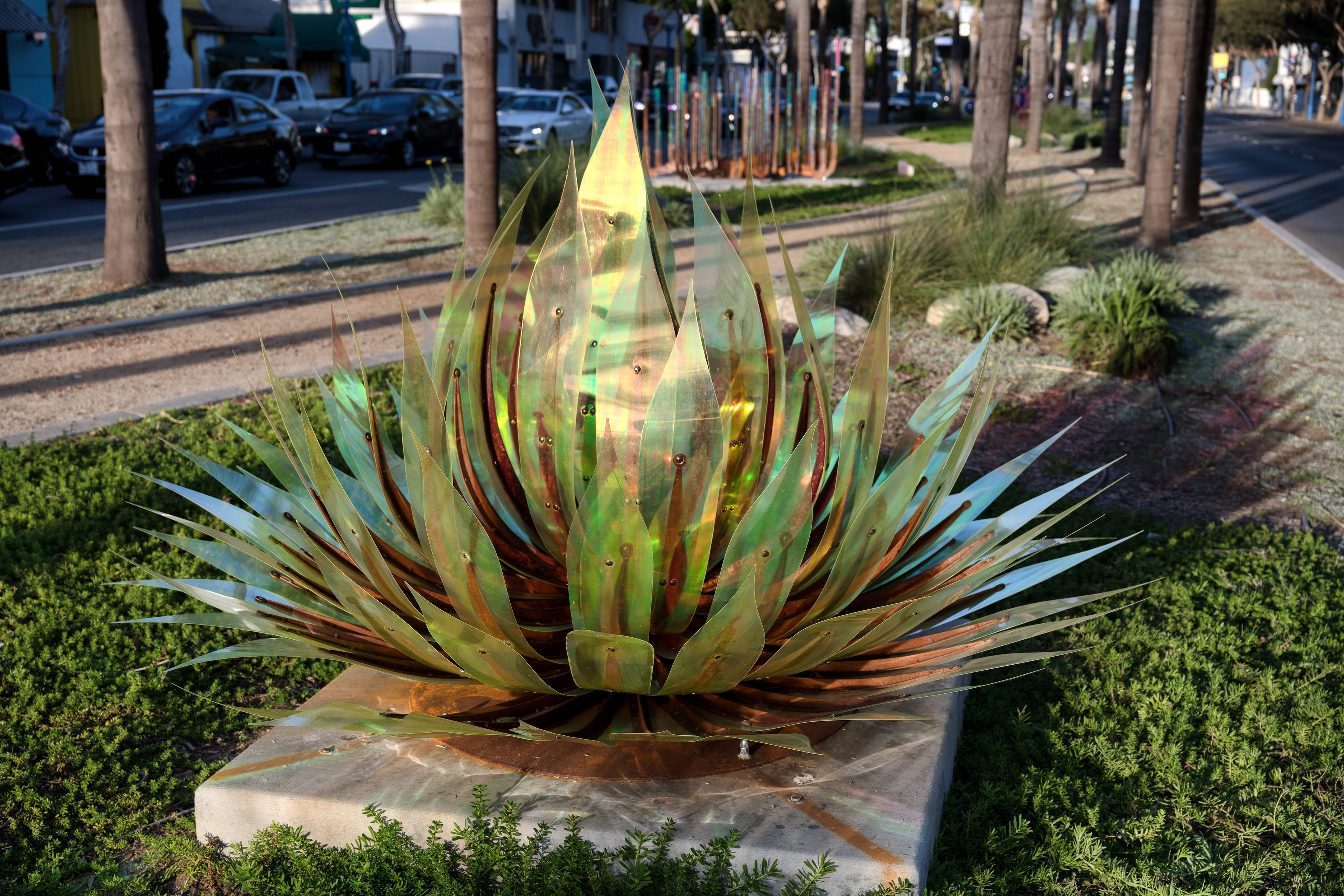 agave 2
