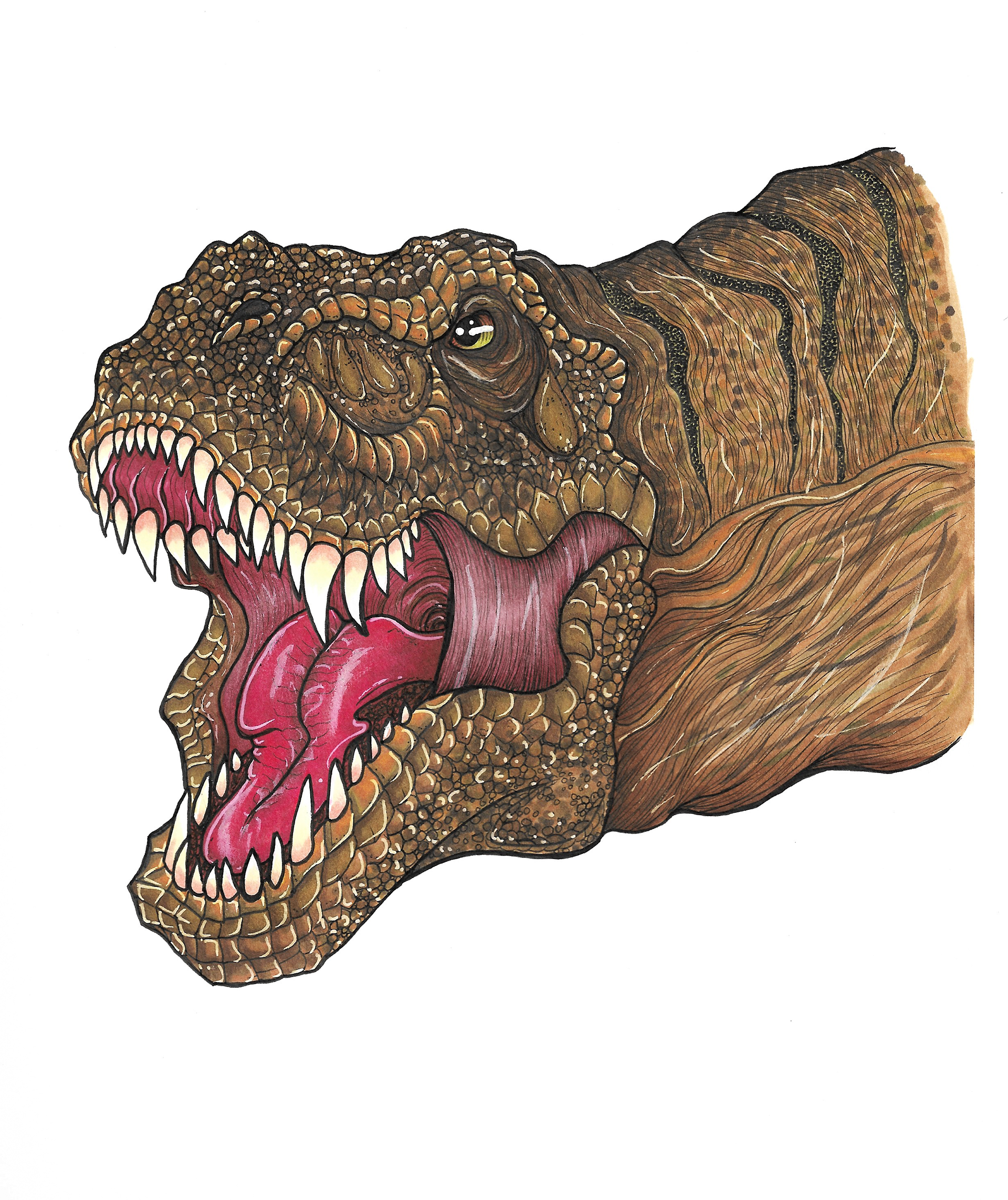 T-Rex