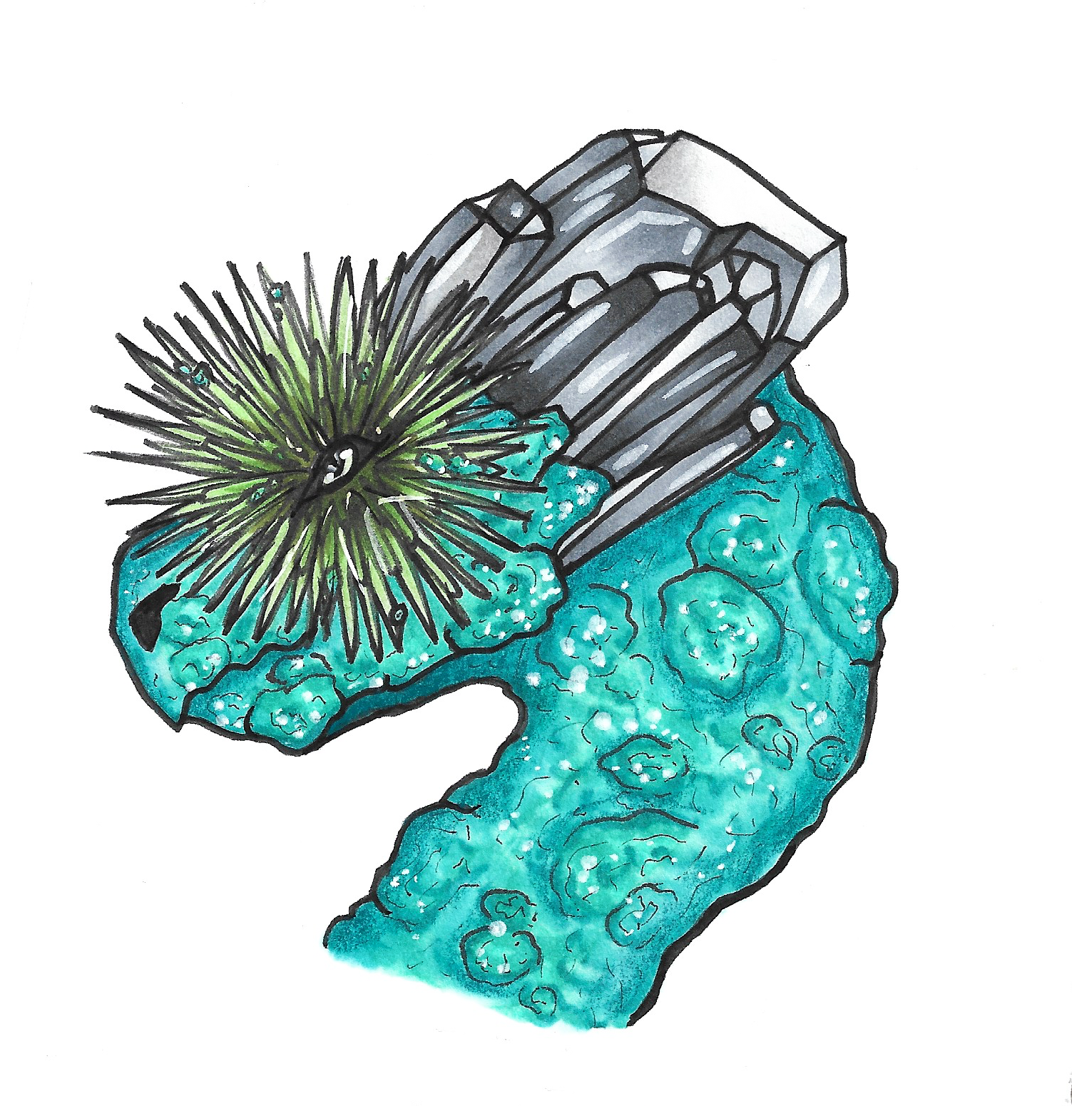 Atacamite with Libethenite