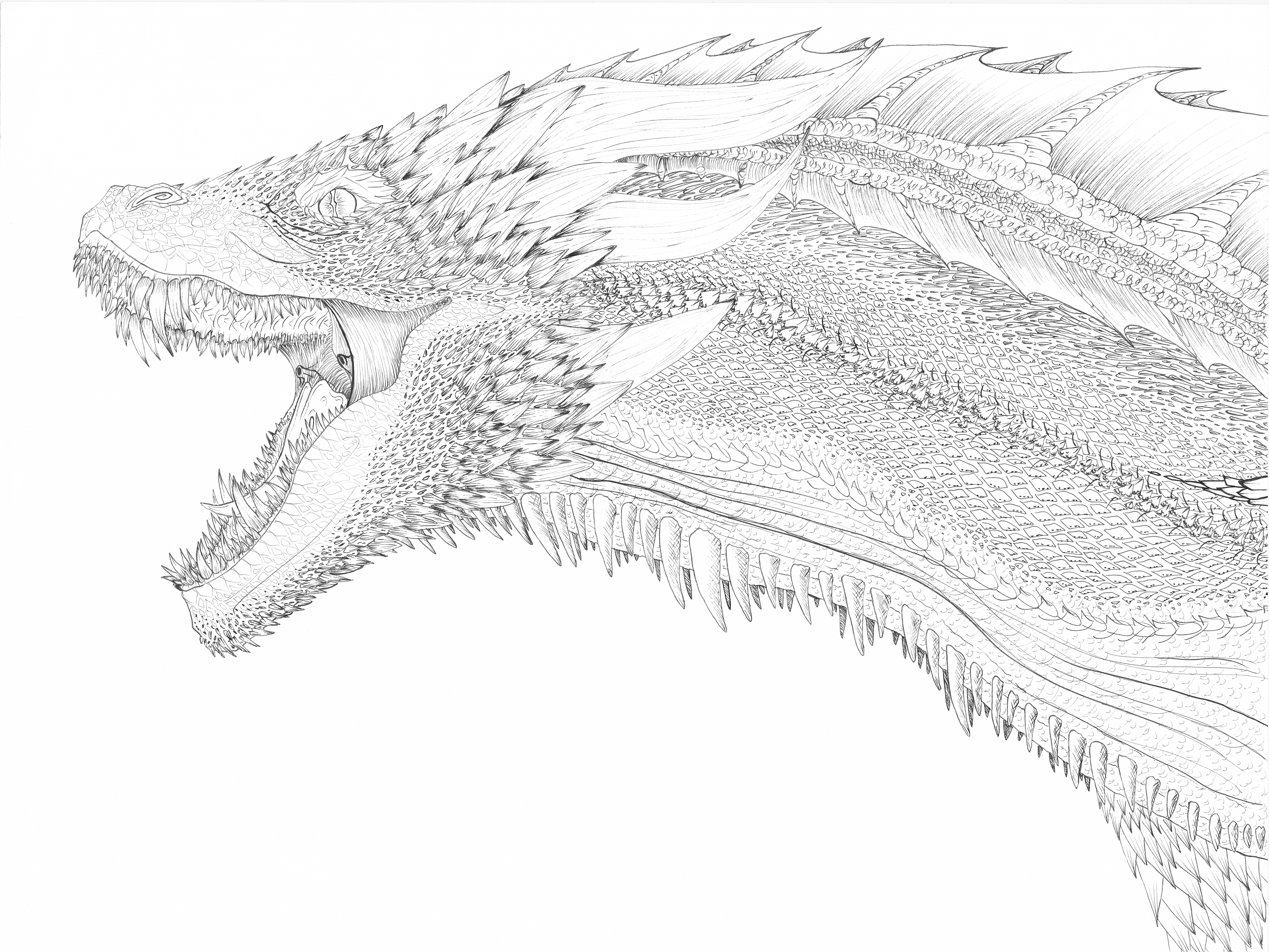 Drogon from GOT Coloring Page