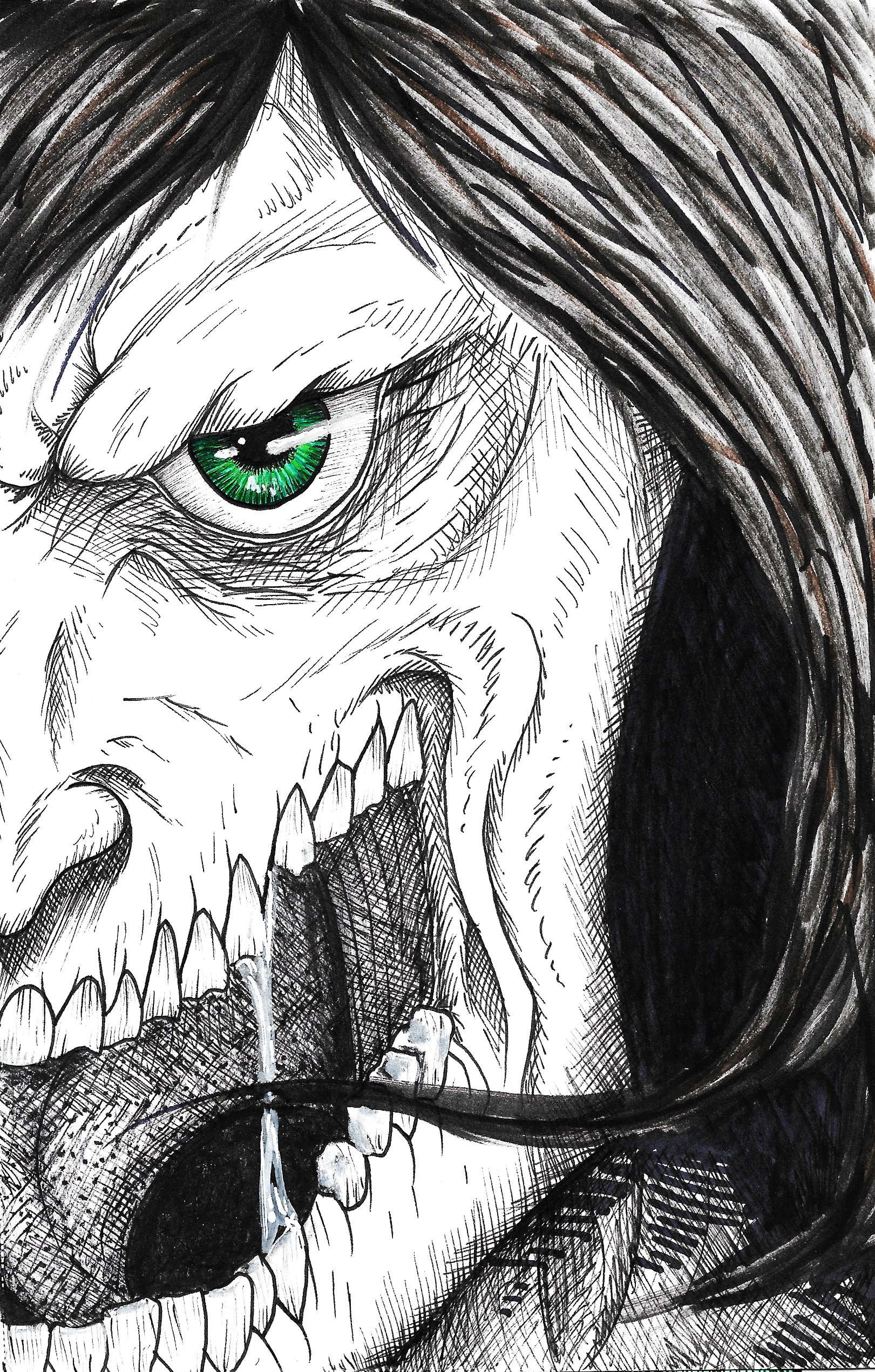 Eren from AOT (1)