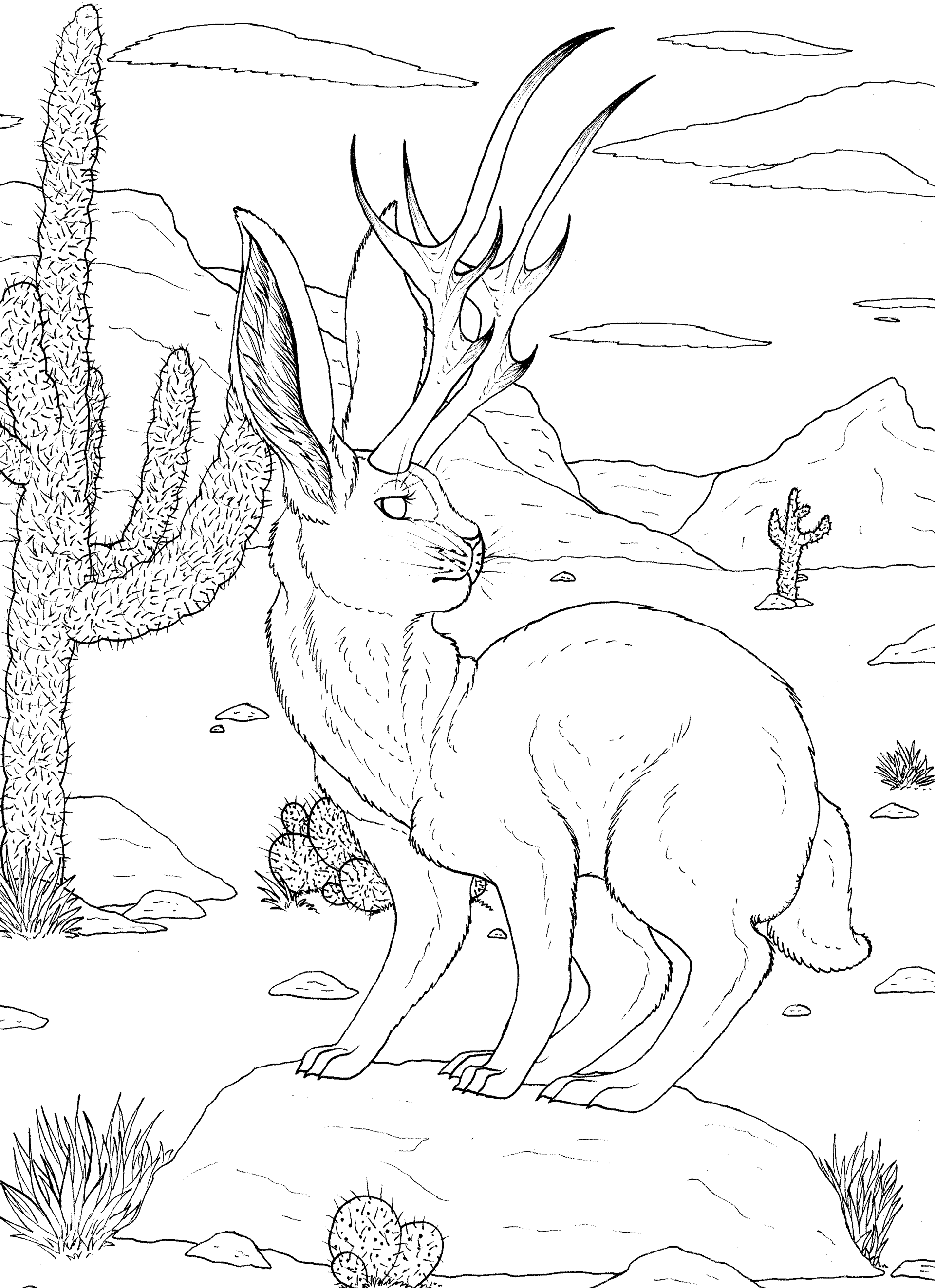 Jackalope Coloring Page