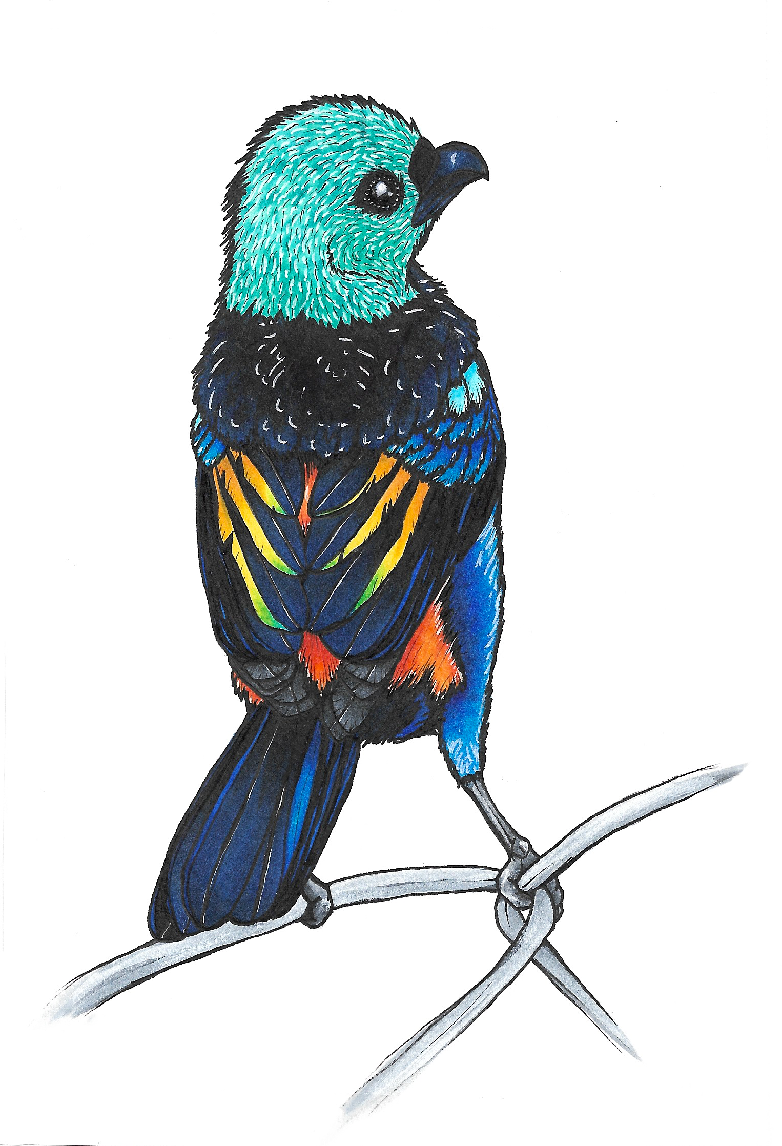 Seven-Colored Tanager