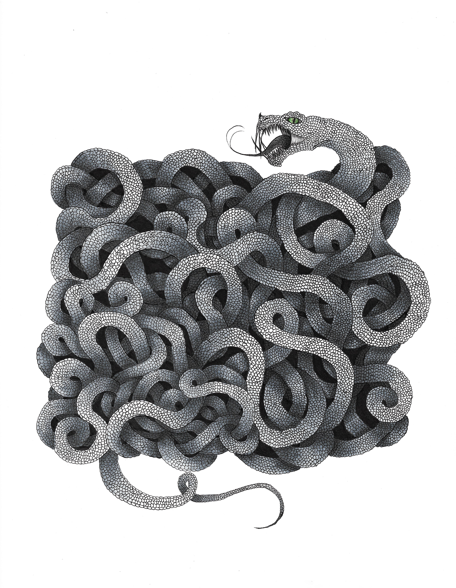 Serpentine