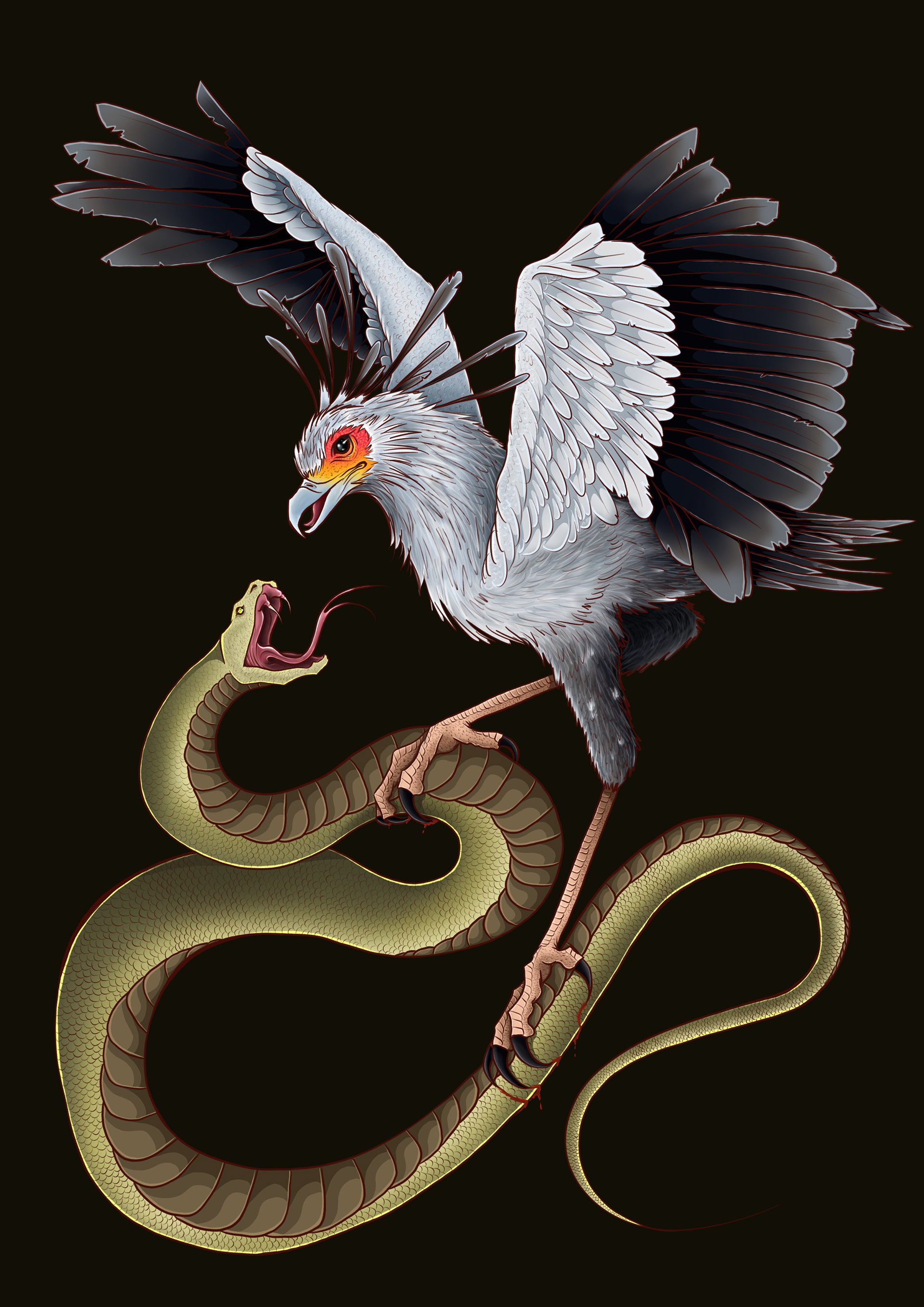 Secretary Bird v.s. Snake