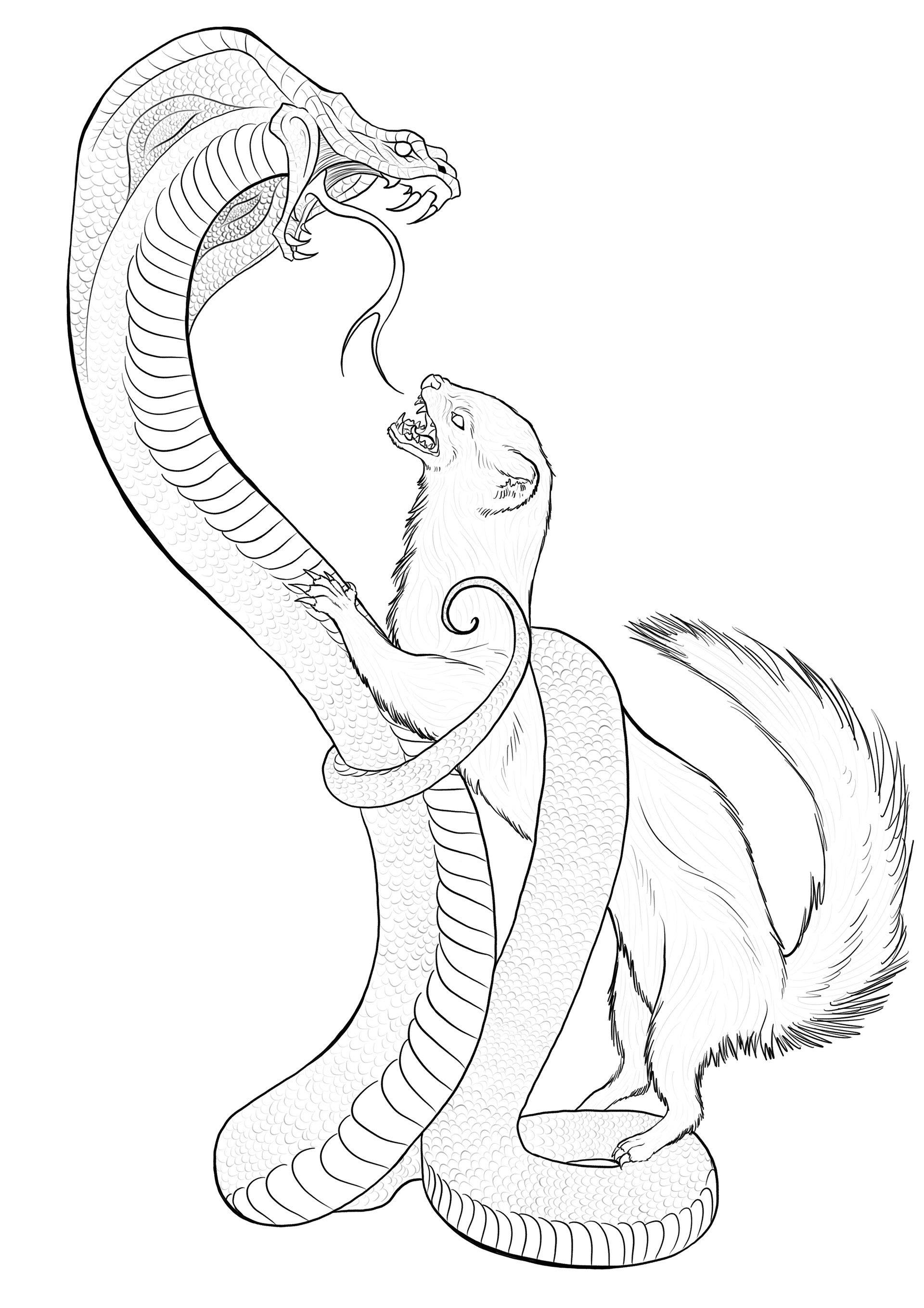 Rikki Tikki Tavi Coloring Page